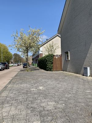 Foto 215 uit StratenBEVERWAARD