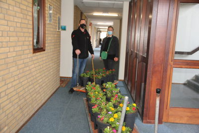 Foto 6 uit Plantjes Ijselburgh