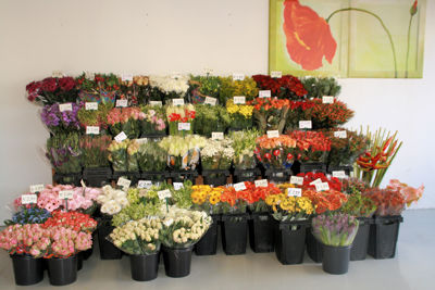 Foto 223 uit WINKELSBeverwaard