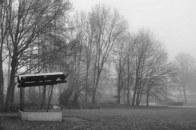 Foto 5 uit Herfst In Beverwaard