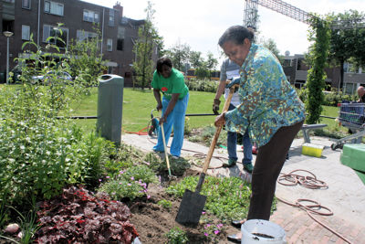 Foto 29 uit Tropische Tuin12_6