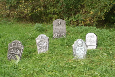 Foto 368 uit Halloween1-11-2014