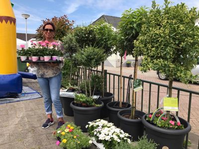 Foto 33 uit VrolijkSevenaerstraat