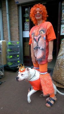 Foto 59 uit OranjeInBeverwaard