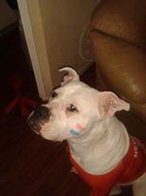 Foto 63 uit OranjeInBeverwaard