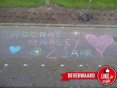 Foto 381 uit LIKEJEWIJK FOTO'S_2