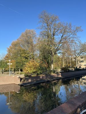 Foto 69 uit X-Herfst Verschillende jaren  2026