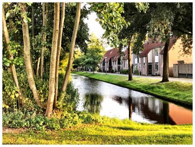 Foto 62 uit StratenBEVERWAARD