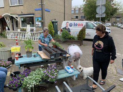 Foto 9 uit PlantenAlerdincksingel