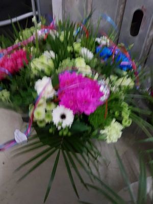 Foto 254 uit NeelyshaBloemen