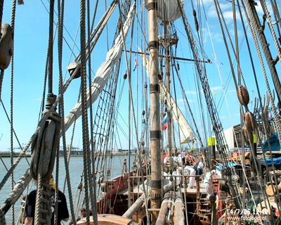 Foto 77 uit Foto's uit Rotterdam