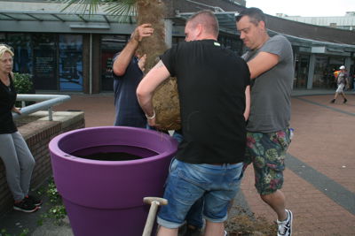 Foto 119 uit HippePlantenBakken