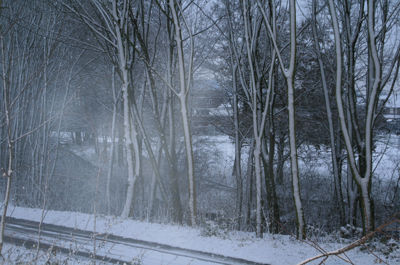 Foto 230 uit WinterIn Beverwaard