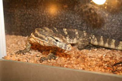 Foto 60 uit HaLLoWeeN29_10_11