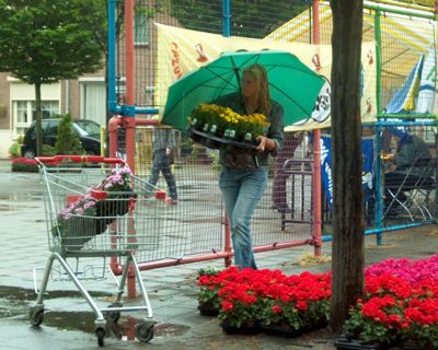 Foto 14 uit opzoomeren 29_5_8