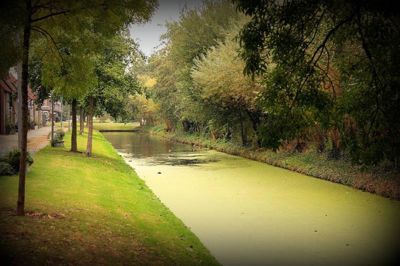 Foto 58 uit Herfst In Beverwaard