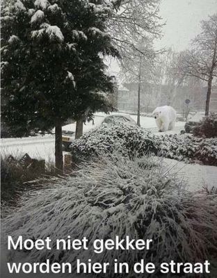 Foto 40 uit X- Sneeuw in de Beverwaard 2026