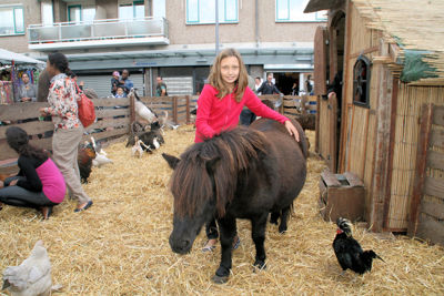 Foto 91 uit WijkFeest15_09_2012