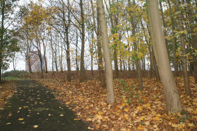 Foto 422 uit StratenBEVERWAARD