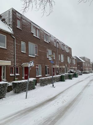 Foto 147 uit WinterIn Beverwaard