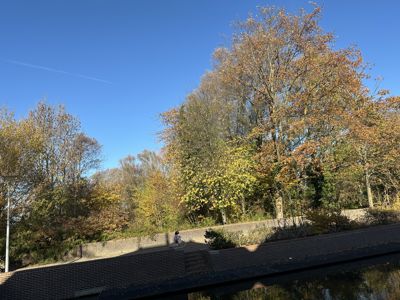 Foto 68 uit X-Herfst Verschillende jaren  2026