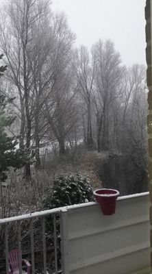 Foto 23 uit WinterIn Beverwaard_2