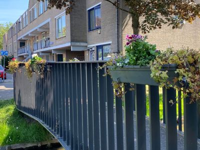 Foto 5 uit AlerdinksingelPlanten