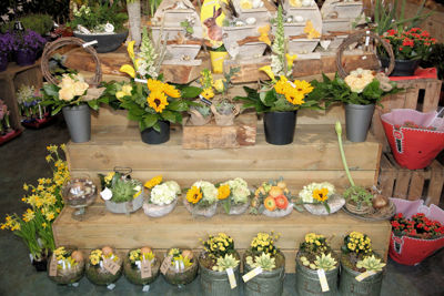 Foto 171 uit Workshops-Bloemen