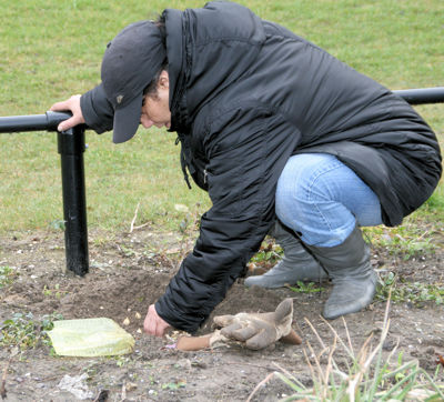 Foto 4 uit Tropische Tuin20-03