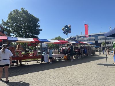 Foto 13 uit X-Wijkfeest en Braderie Prinsenplein ijsselmonde geplaatst 4-7-2026 