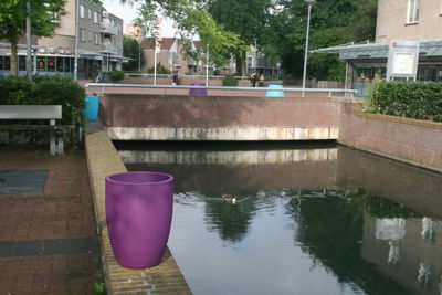 Foto 17 uit HippePlantenBakken