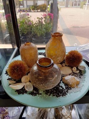 Foto 48 uit NeelyshaBloemen