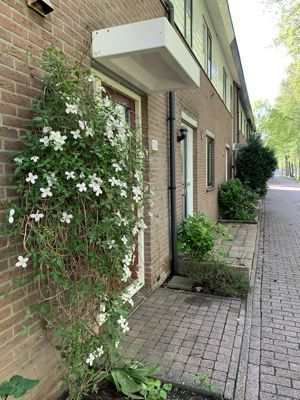 Foto 244 uit StratenBEVERWAARD