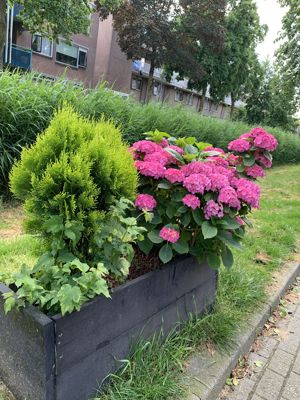 Foto 294 uit Rondje Beverwaard 2026