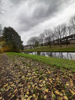 Foto 24 uit Herfst In Beverwaard