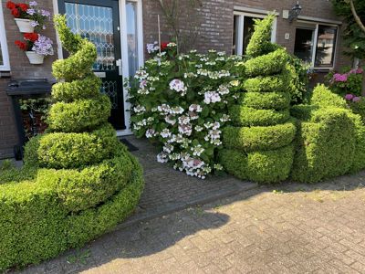 Foto 325 uit Rondje Beverwaard 2026