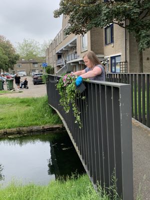 Foto 19 uit PlantenAlerdincksingel