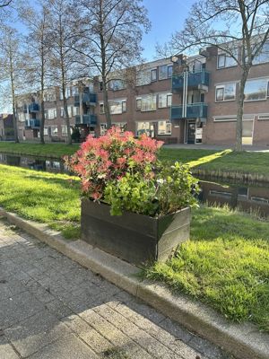 Foto 185 uit Rondje Beverwaard 2026