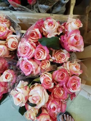 Foto 174 uit NeelyshaBloemen