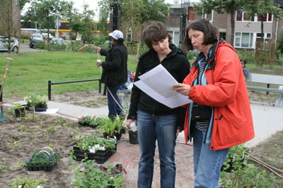 Foto 60 uit Tropische Buurttuin