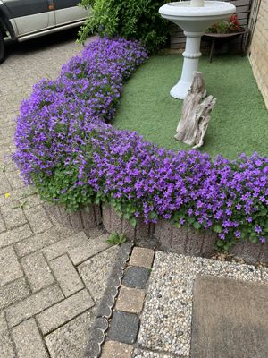 Foto 47 uit Rondje Beverwaard 2026