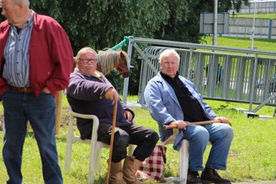 Foto 126 uit Paardenmarkt29-6