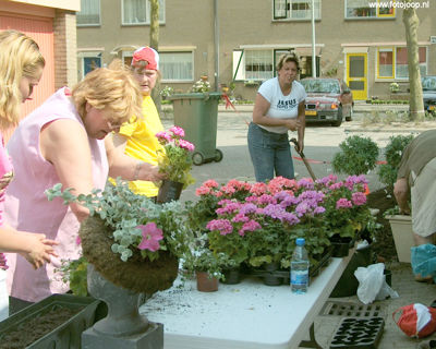 Foto 113 uit schoonmaakactie new