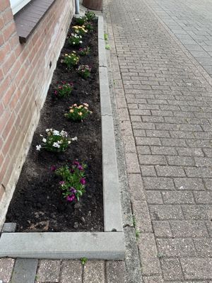 Foto 285 uit StratenBEVERWAARD