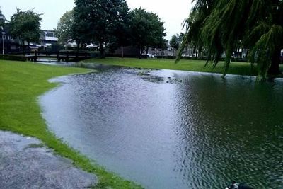 Foto 2 uit HoogWaterBeverwaard