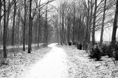 Foto 31 uit WinterIn Beverwaard