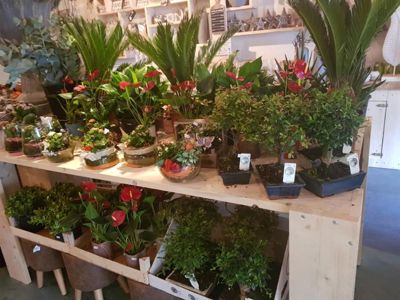 Foto 48 uit De Bloemenboetiek