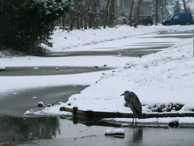 Foto 204 uit WinterIn Beverwaard