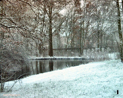 Foto 75 uit Foto's Beverwaard