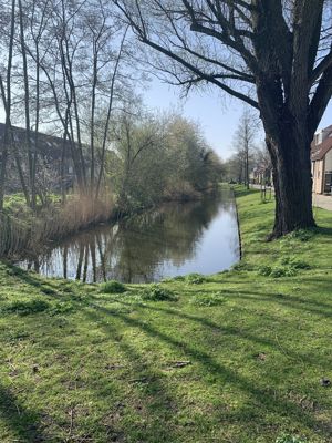 Foto 7 uit Lente En Zomer 2022